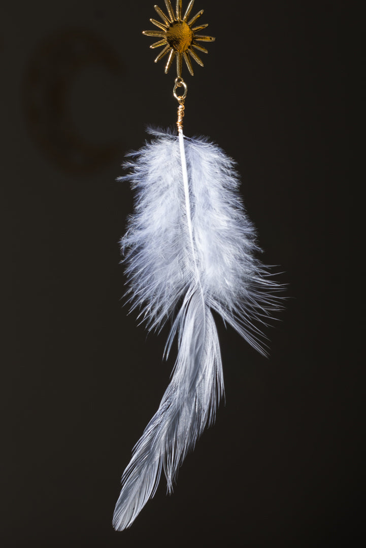 Feather Sun Catcher / Car Charm